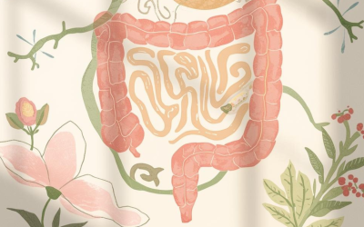 Nourishing Your Flow: Why Your Gut is the Secret to Hormonal Balance