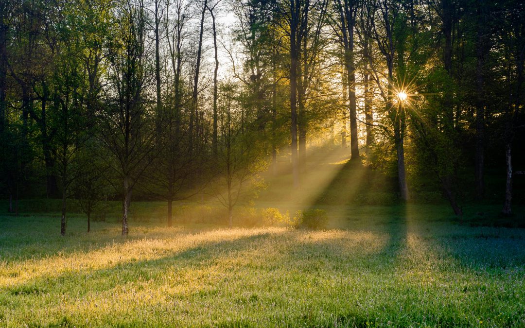 Spring Cleaning for Your Hormones: 3 Simple Swaps to Reduce Endocrine Disruptors