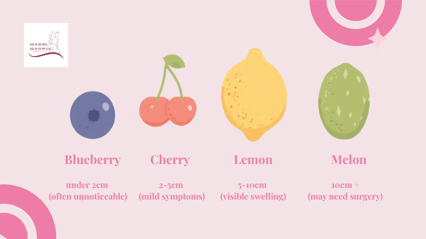 A fibroid size guide comparison chart sizing uterine fibroids to a blueberry, cherry, lemon, and melon with corresponding measurements and symptoms.